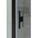Душевой уголок Allen Brau Priority 140x100 3.31036.BBA + 3.31048.BBA черный браш