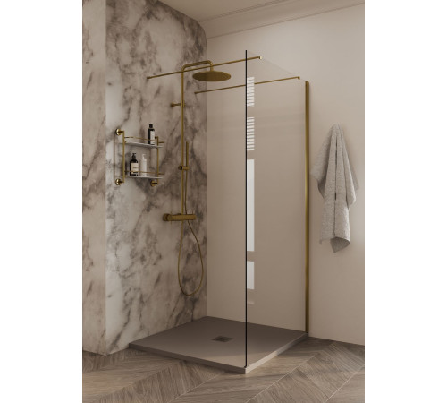 Душевая перегородка Allen Brau Infinity 2 120 3.21043.BA серебро браш