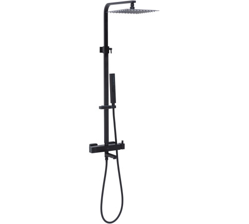 Душевая стойка Allen Brau Infinity 5.21029-31 черный матовый