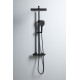 Душевая стойка Allen Brau Infinity 5.21030-31 черный матовый