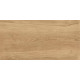 GT220VG Керамогранит Florida бежевый матовый 30x60