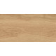 GT220VG Керамогранит Florida бежевый матовый 30x60