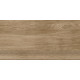 ST211VG Ступень Nostrum бежевая неполированная 30x60