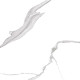 GT60601503PR Керамогранит Anima белый полированный 60x60