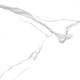GT60601503PR Керамогранит Anima белый полированный 60x60
