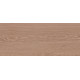 10100001342 Плитка настенная Eco Wood бежевая 03 матовая 25x60