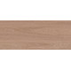 10100001342 Плитка настенная Eco Wood бежевая 03 матовая 25x60