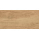 GT220VG Керамогранит Florida бежевый матовый 30x60