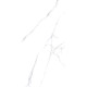 GT120607603PR Керамогранит Romantic белый Slim полированный 60x120