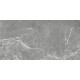 GT99VG Плитка настенная Capella серая глянцевая 25x50
