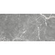 GT99VG Плитка настенная Capella серая глянцевая 25x50