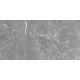 GT99VG Плитка настенная Capella серая глянцевая 25x50