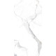 GT120606103PR Керамогранит Calacatta Imperial белый полированный 60x120
