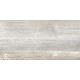 GT225VG Керамогранит Antares серый матовый 30x60