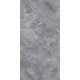 GT1206015701PSiR Керамогранит Silver серый полированный 60x120